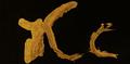 Large calligraphy panel with the Chinese character „ki“ (Tree) in cursive script. Aluminum paste on layers of black paper, coated with transparent lacquer. On the reverse the ar...