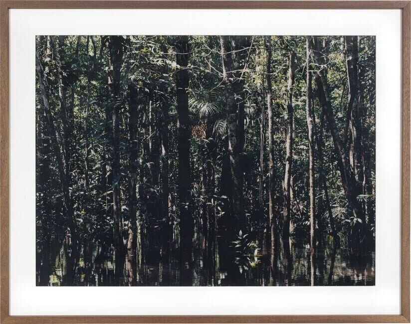 ”Caño Tonino-1”
