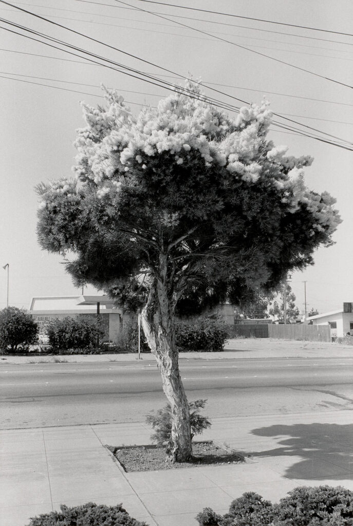Richmond, California