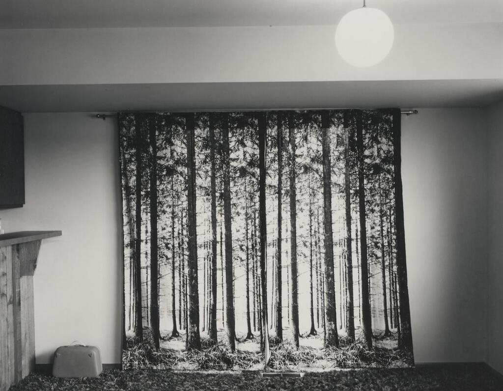 Dining Room with Indoor/Outdoor Curtain, Ann Arbor, Michigan