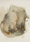 Sans titre, 1962