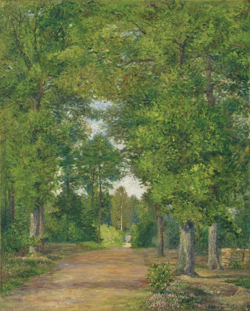 Paysage de forêt