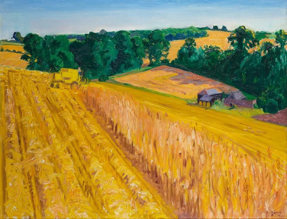 Harvest Field on the North Downs, Kent