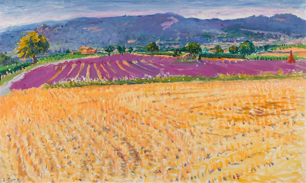 Lavender in the Vaucluse