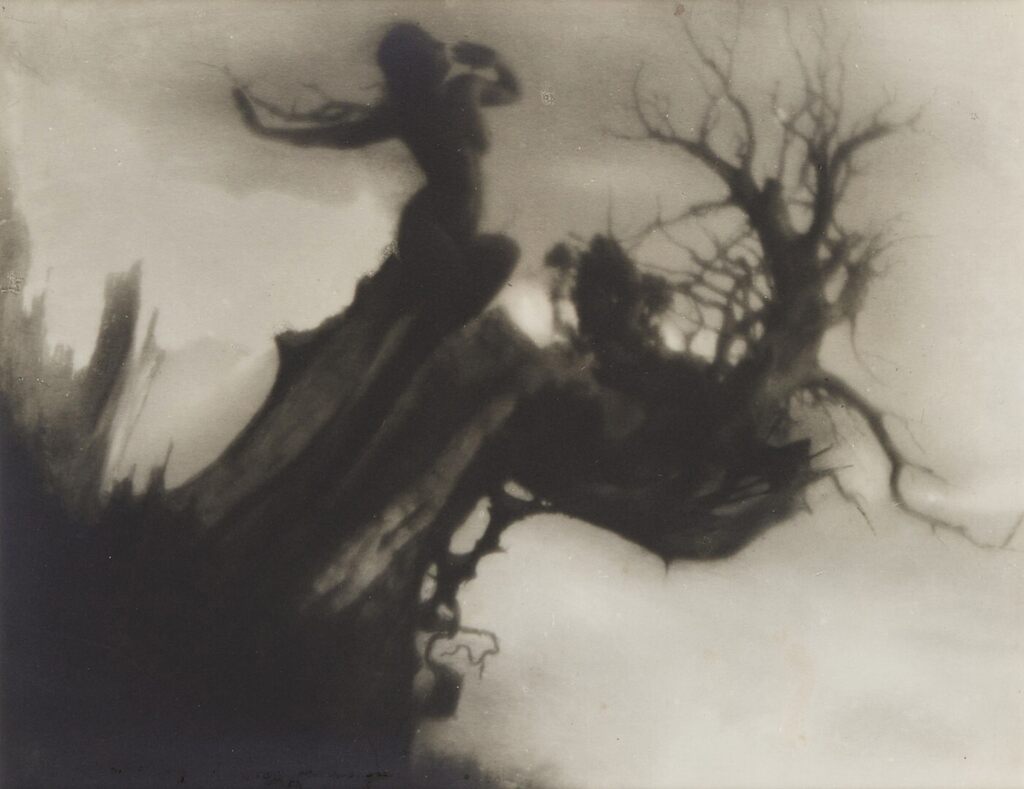 The Storm Tree, 1912