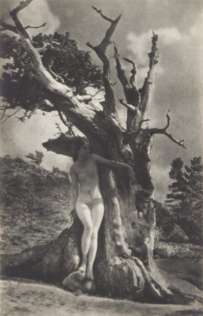 The Heart of the Tree, 1927