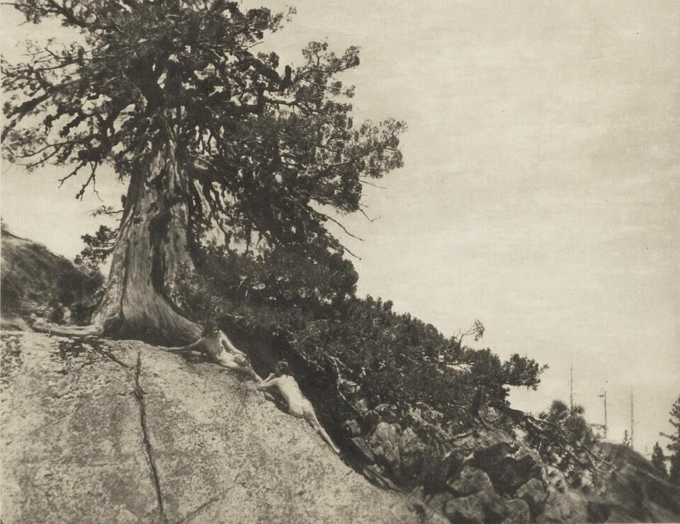Dryads (from 'Camera Work' No. 44)