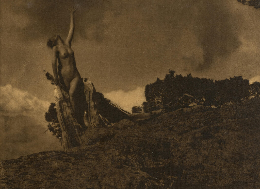 Selected Images