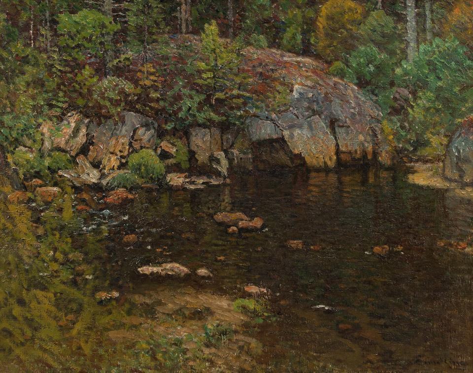 Trout Pond, North Newry, Maine