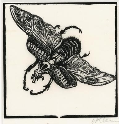 "Fliegender Käfer"