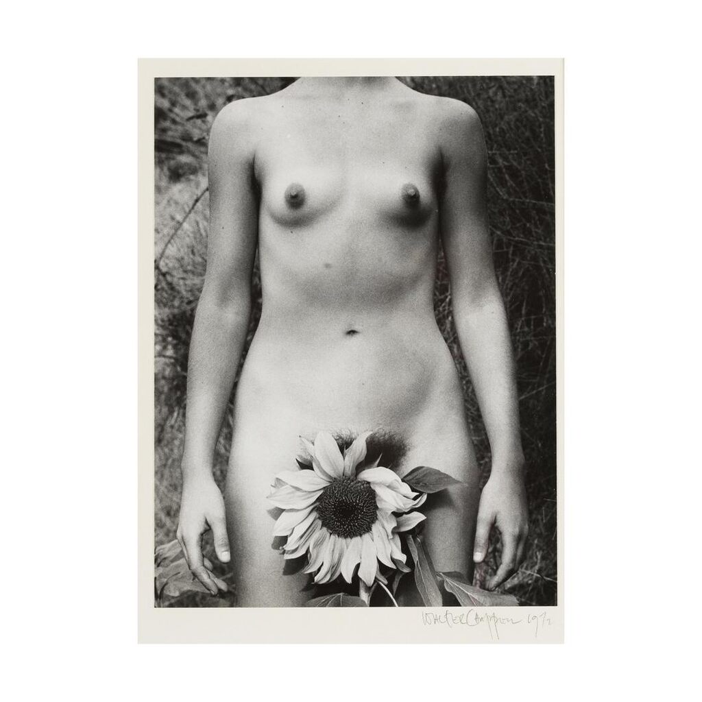 Nude Sunflower Santa Cruz, CA