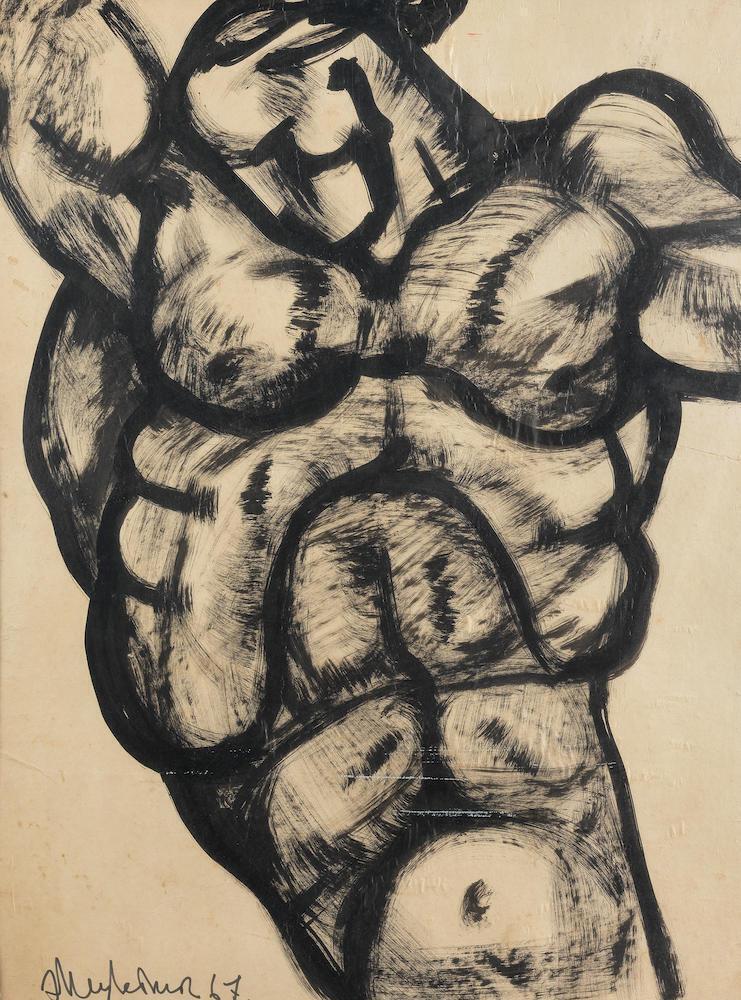 Torso