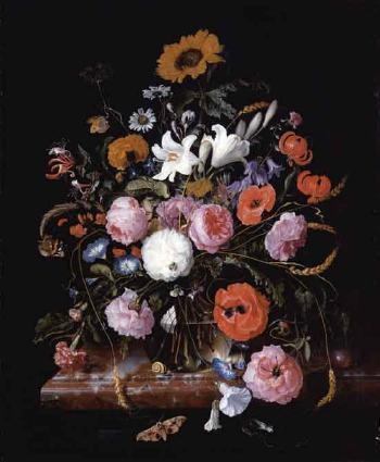Sunflower, daisies, marigolds, honeysuckle, moth and snail