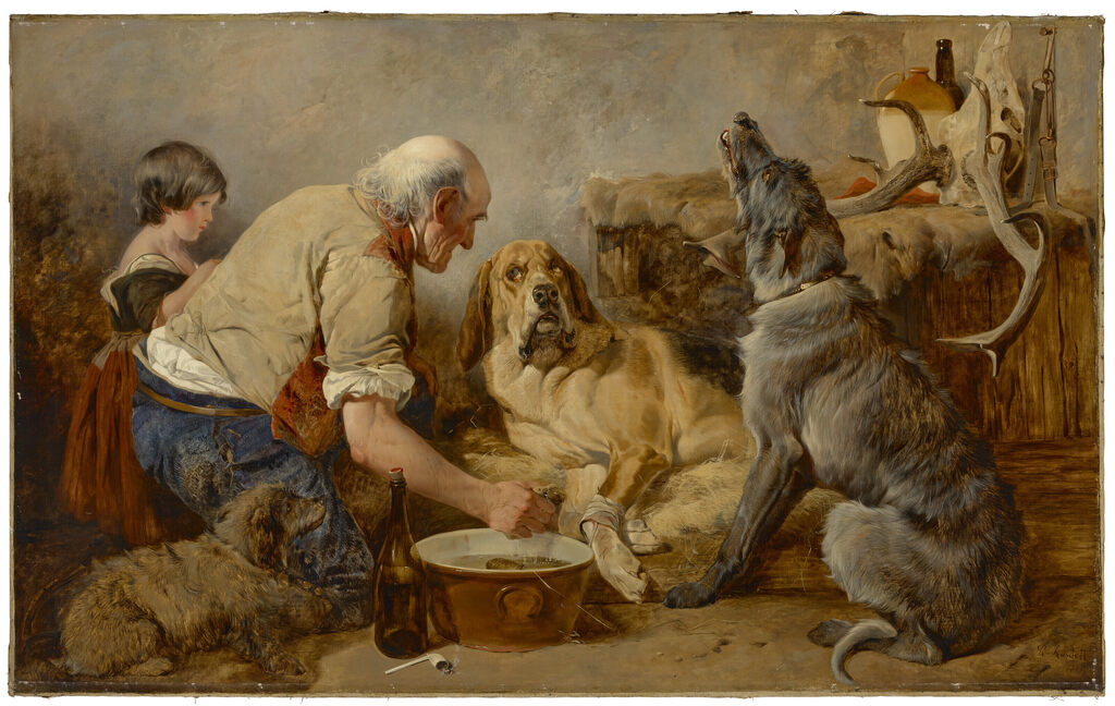 The wounded hound