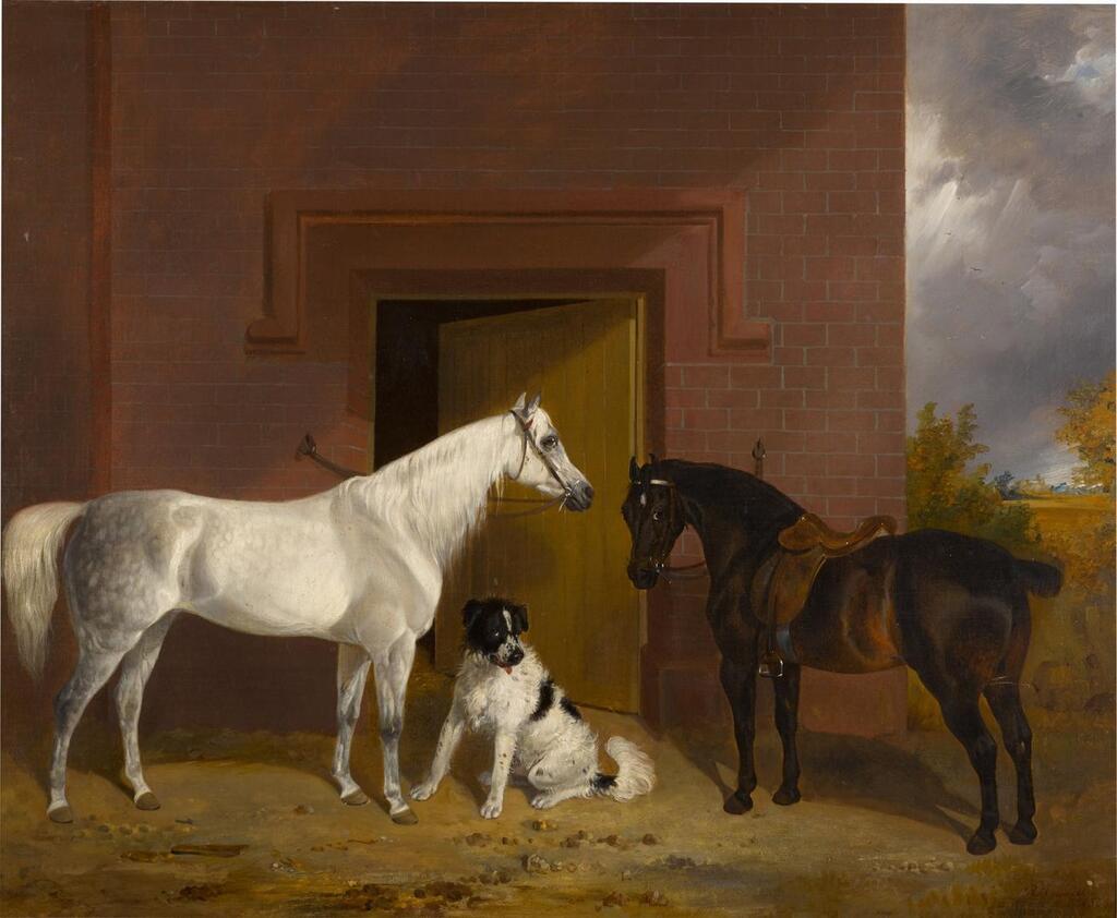 White and Brown Horse in a Farmyard with Dog
