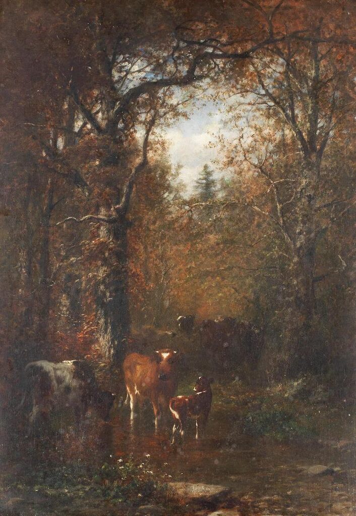 Cattle in woodland