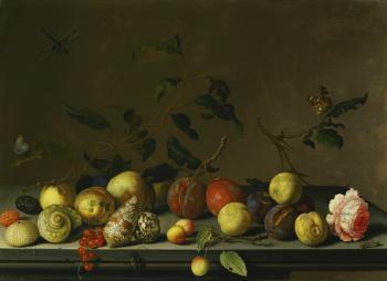 A Still Life Of Fruit And Shells With a Rose And Various Insects Upon a Stone Ledge