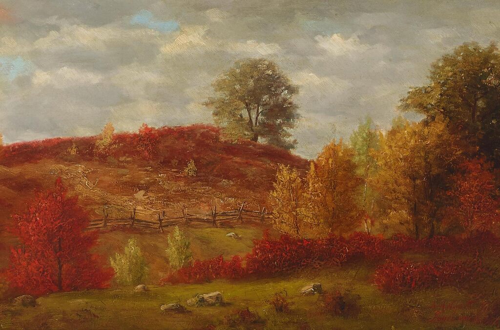Jones Woods