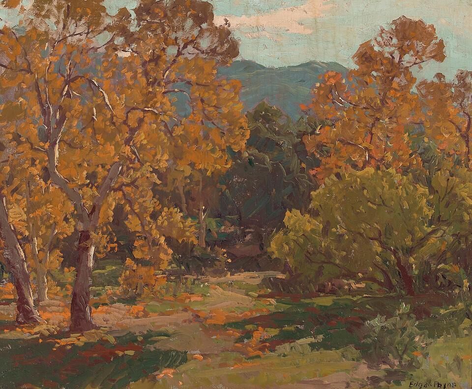 Autumn Sycamores