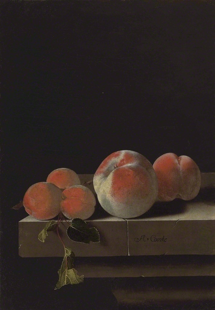 Peaches and apricots on a stone ledge