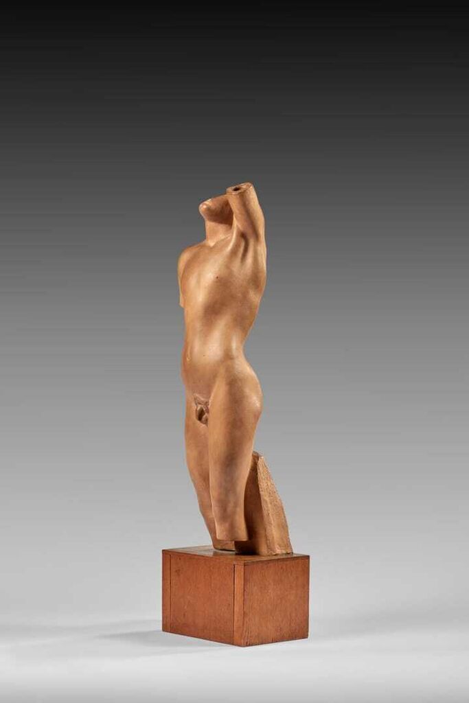 Gypsy torso