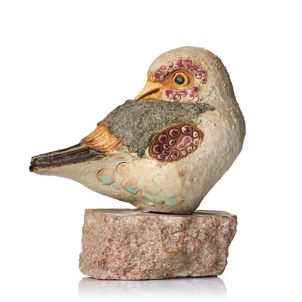 A bird