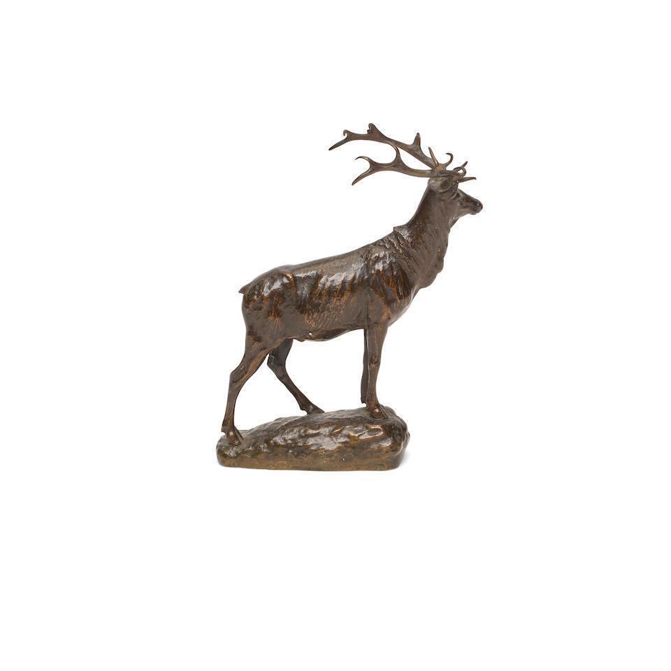 Elk