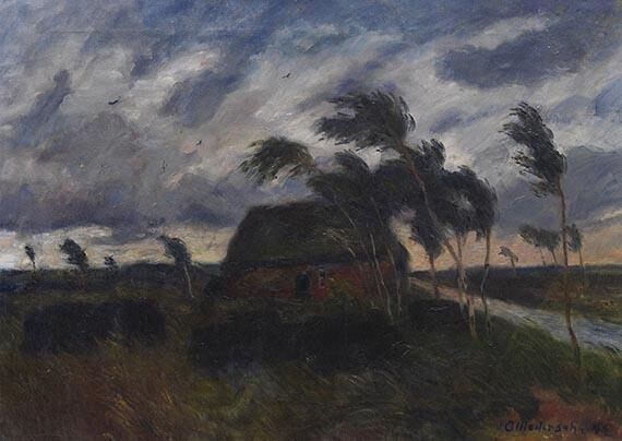Sturm im Moor