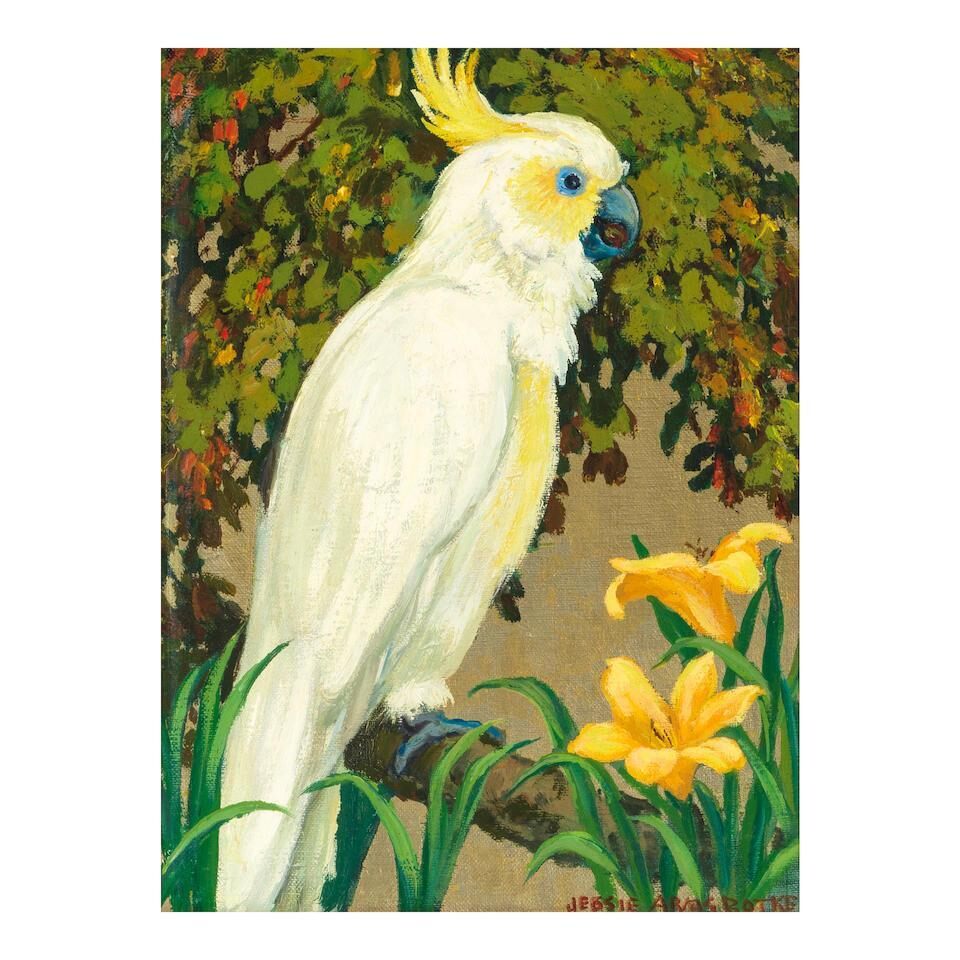 Citron Crested Cockatoo (Looking Right)