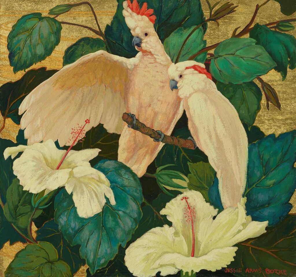 Cockatoos