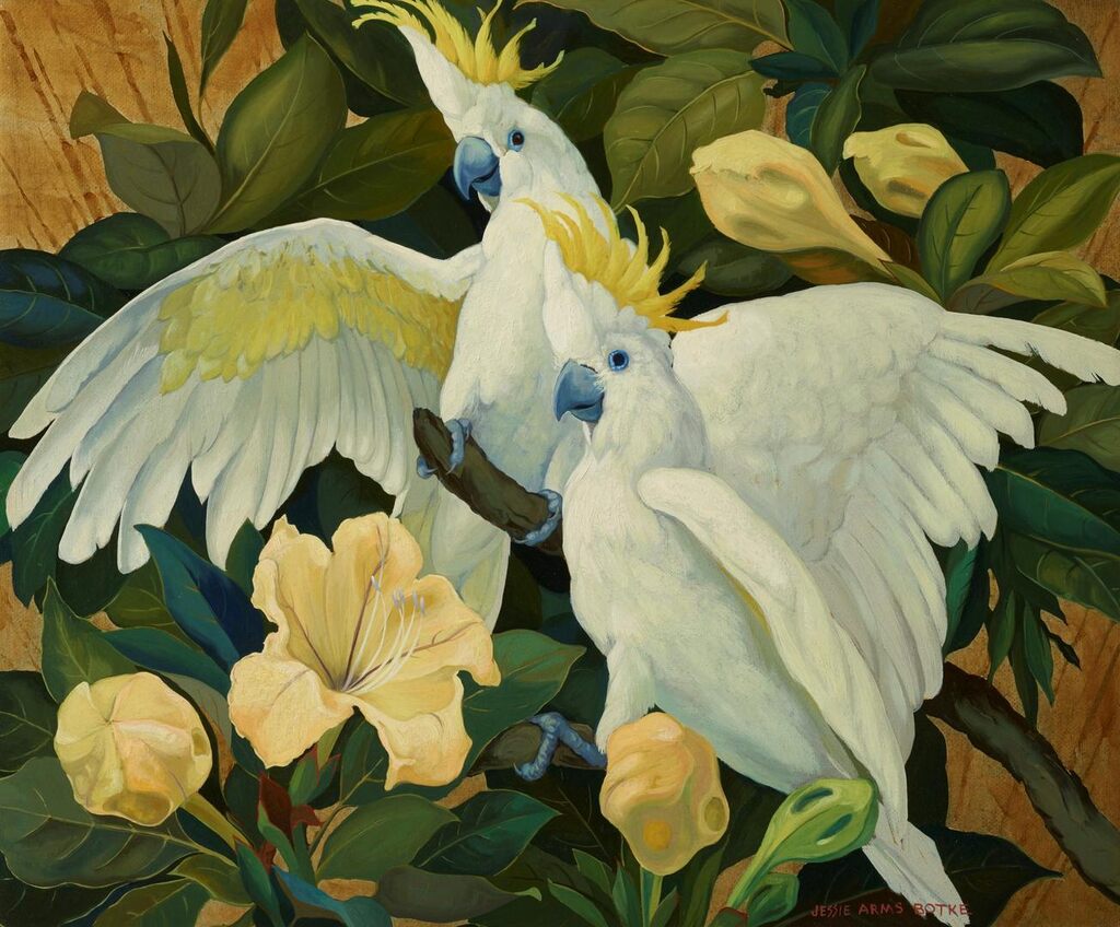 Two Cockatoos