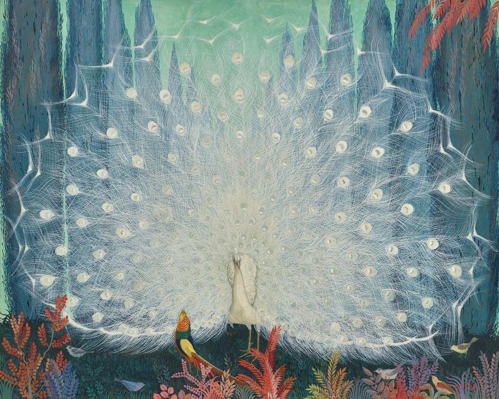 White Peacock with Spread Tail