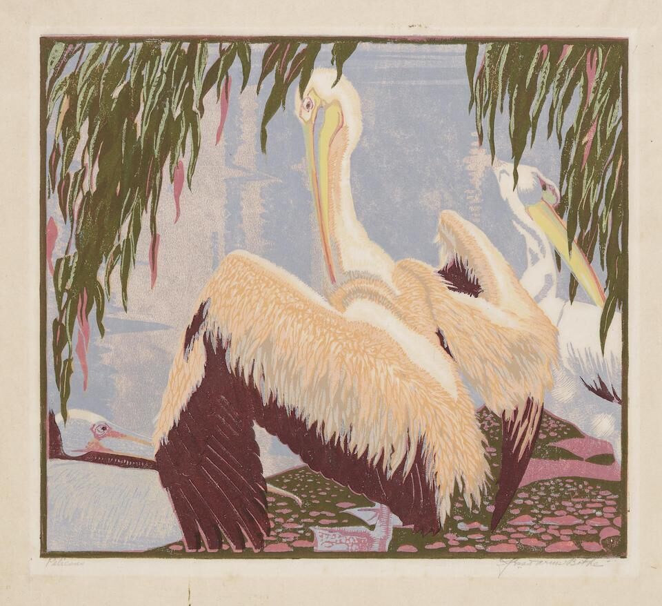 Pelicans