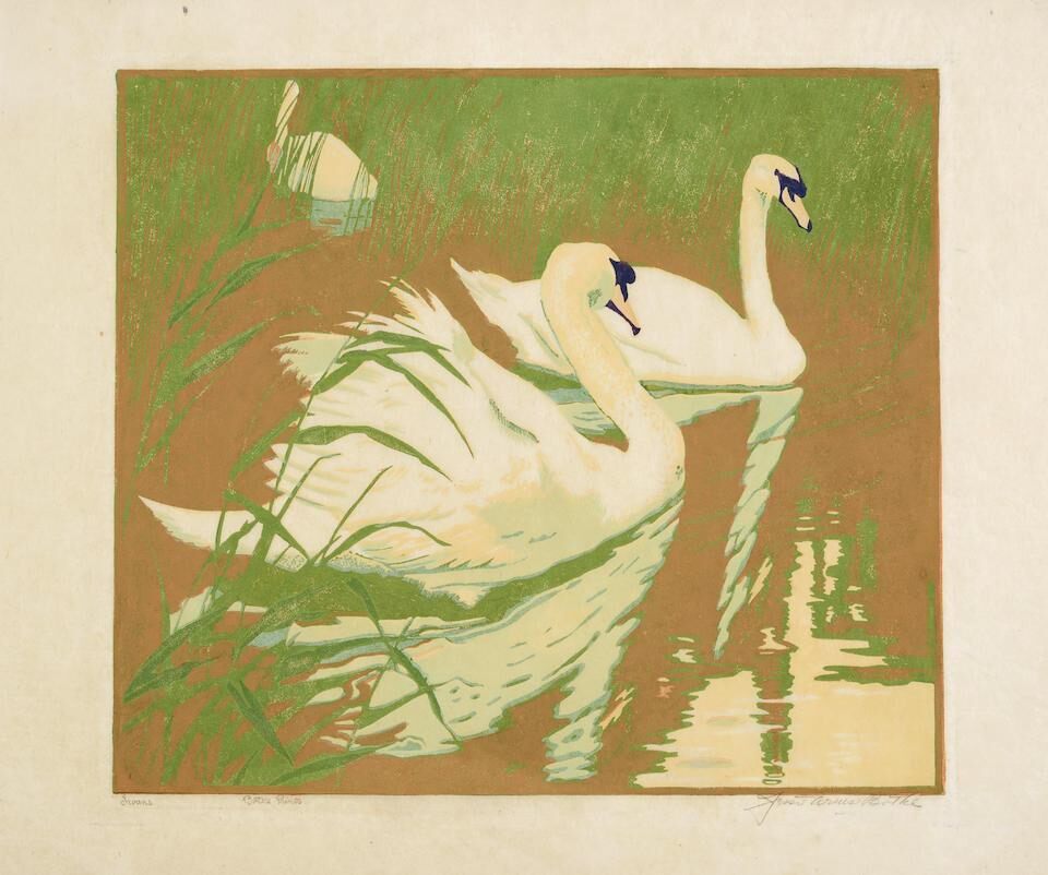 Swans