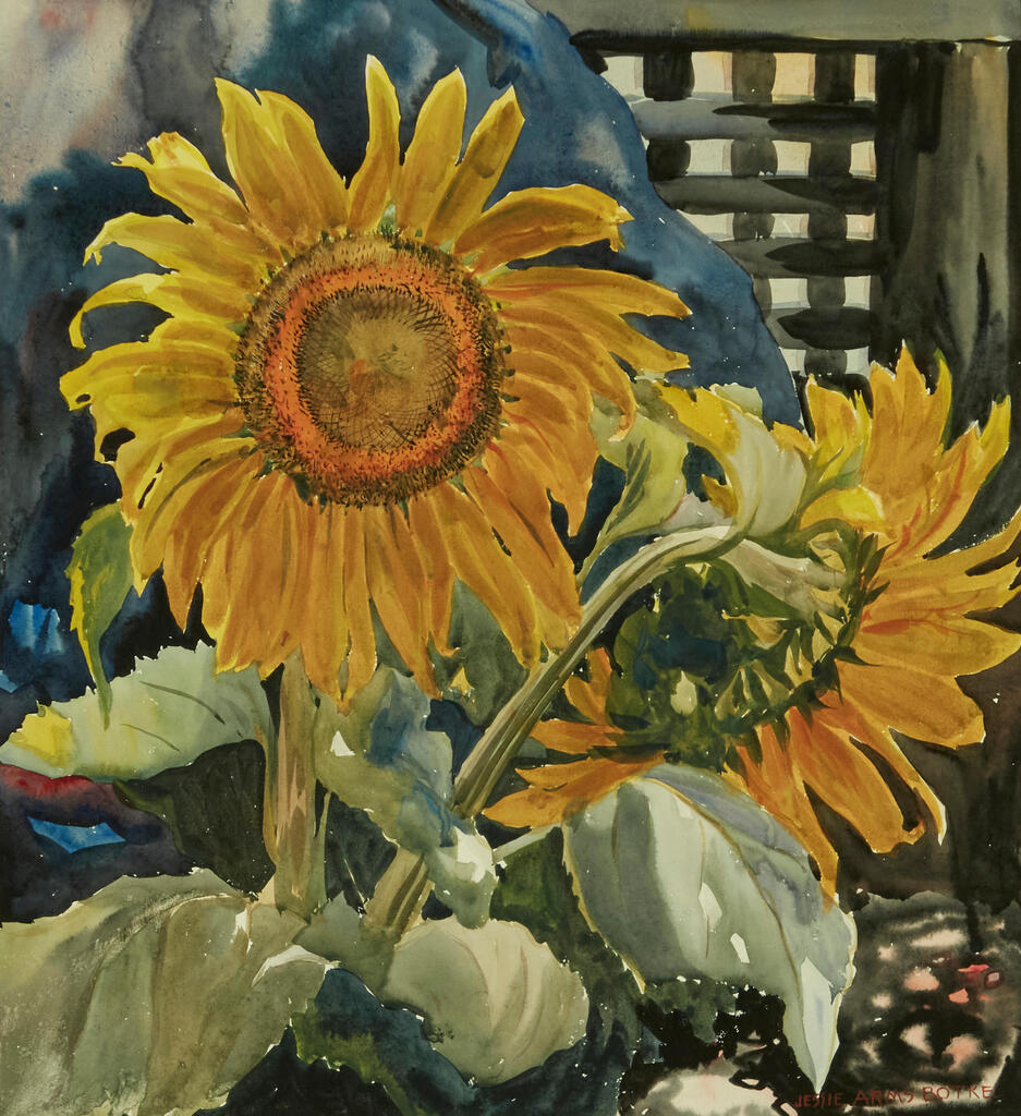 Sunflowers
