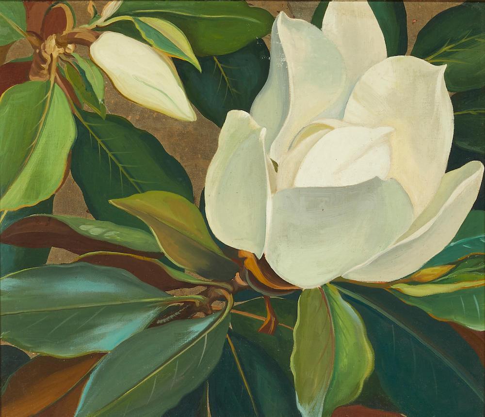 Magnolia