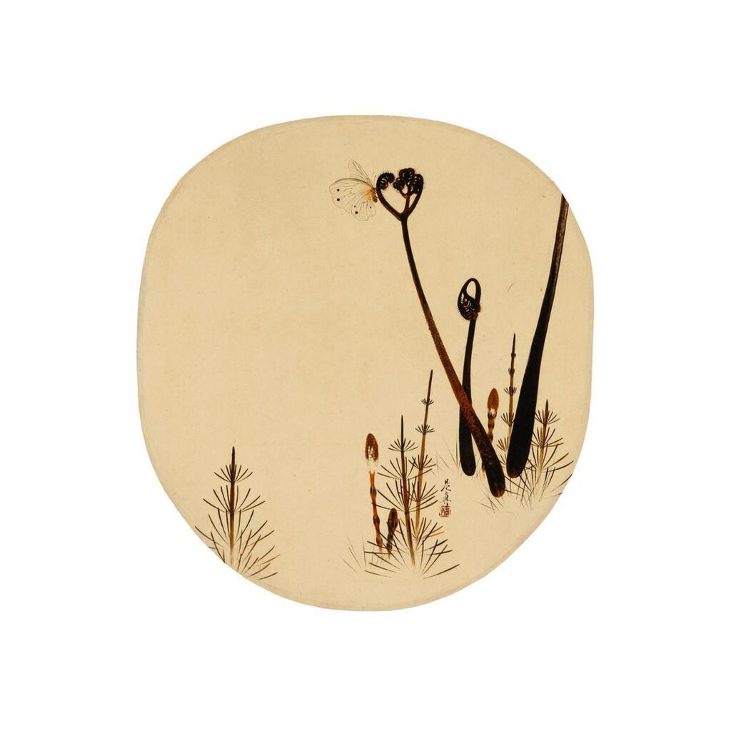Butterfly, Ferns, and Horsetail in the Late Spring