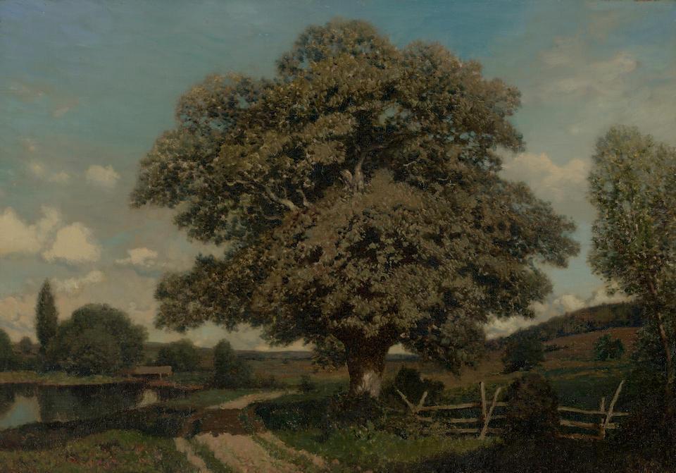 The Old Oak Tree