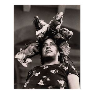 Graciela Iturbide (born 1942); Nuestra Señora de las Iguanas (Our Lady of the Iguanas), Juchitán, Oaxaca;