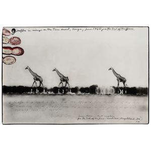 Peter Beard (1938-2020); 'Giraffes in mirage on the Taru desert, Kenya, June 1960' (for 'The End of the Game');