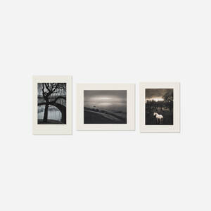 Cilento, Italy (White Horse); Paris; Haapasaari (three works)