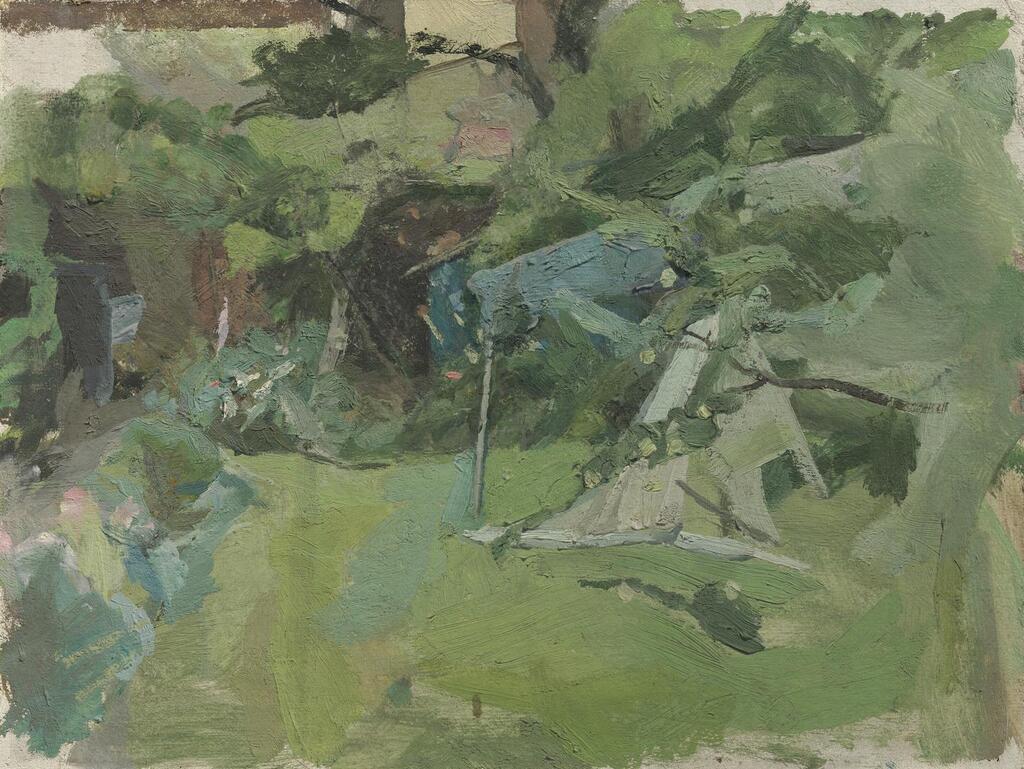 The garden at 13 Park Lane, Norwich