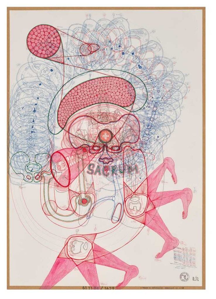 Sacrum