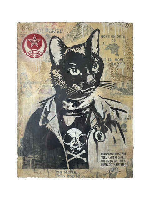 Radical Cat