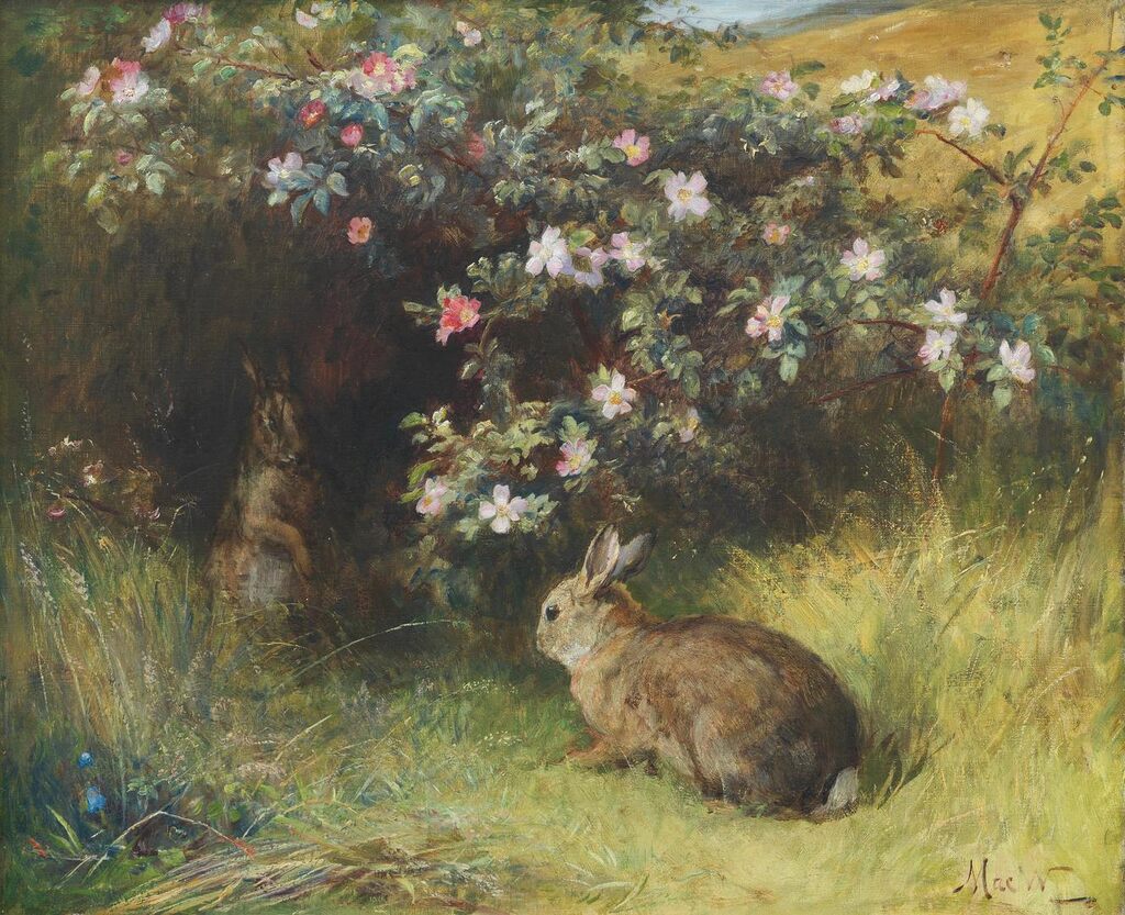 Roses and Rabbits
