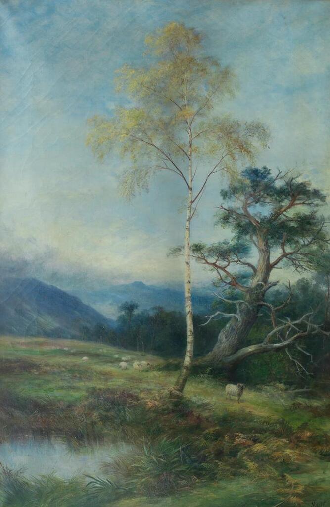 The silver birch