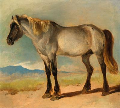 A White Horse with a Black Head, study