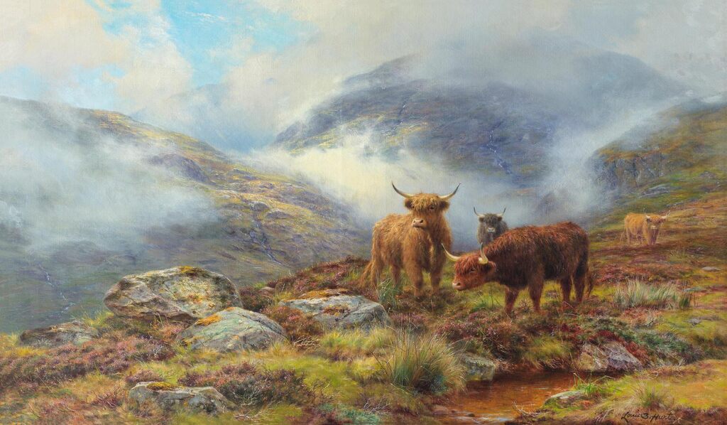 Highland cattle in a glen