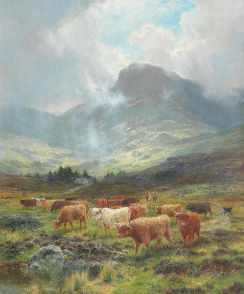 Cattle in highland landscape