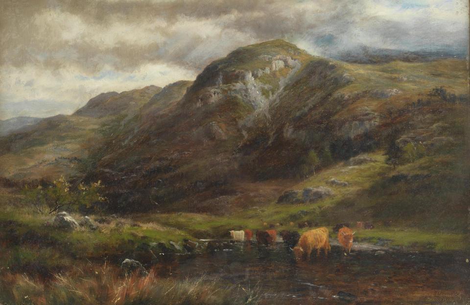 Highland cattle in Glen Cannich